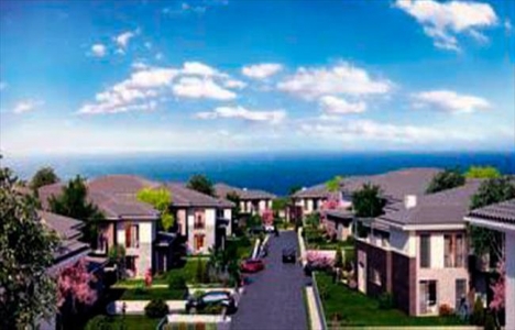 bahçeşehir asmalı evler