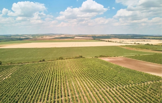 Şanlurfa'da arazi kavgası: 6 yaralı!