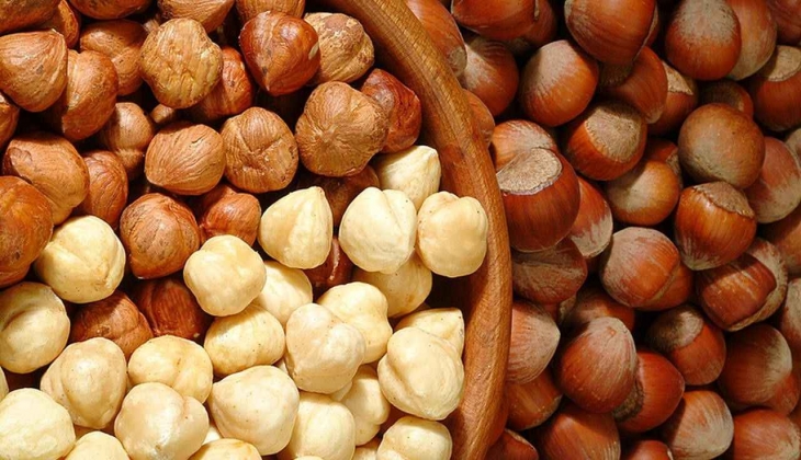 Fındık fiyatlarında rekor! Bakın illere göre fındık fiyatları ne durumda?