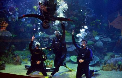 Forum İstanbul Turkuazoo Akvaryum giriş ücreti 2014!