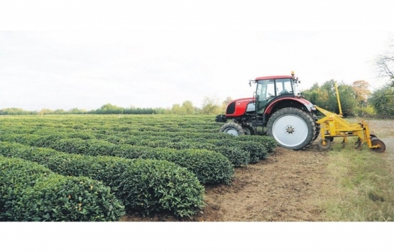 Emin Grup organik tarımda büyüyecek!  