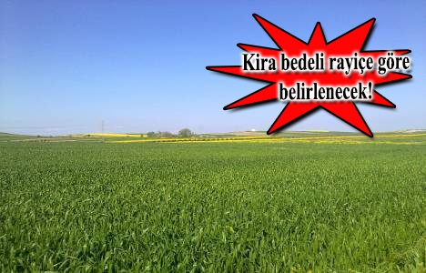 3 yıl kullanılmayan tarım arazisi kiraya verilecek!