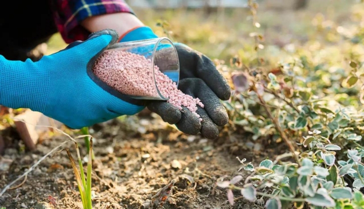 Kuraklık çiftçiyi fena vurdu! Gübre fiyatları isyan ettirdi
