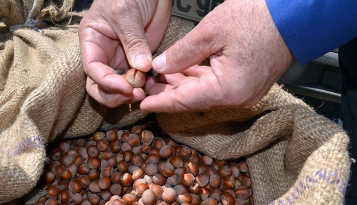 TMO 150 bin ton alım gerçekleştirdi!