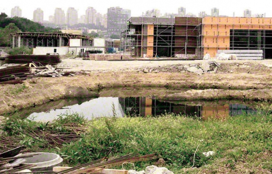 Bahçeşehir Gölet’teki inşaat çalışmaları doğal yaşamı etkiledi!