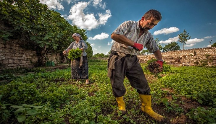 Tarım-GFE temmuz ayında artış gösterdi! TÜİK duyurdu