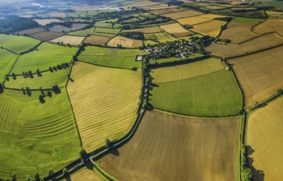 1 dönüm kaç metrekaredir? Dönümün metrekare hesabı nasıl yapılır?