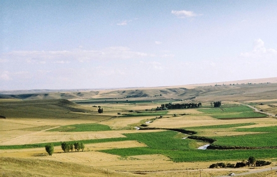 Denizli Baklan'da arazi kavgası: 1 ölü, 2 yaralı!