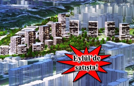 Vira İstanbul Beylikdüzü projesinin tüm detayları!