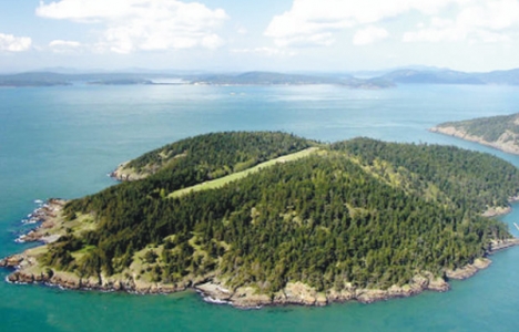 Teknomilyarderler tatil için ada satın alıyor!