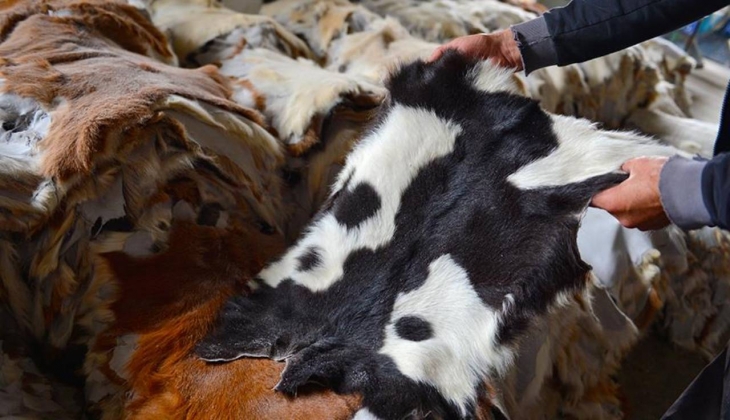 Kurban derisinden ekonomiye 5 milyar liralık katkı!