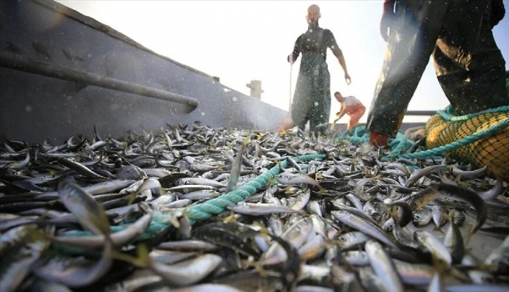 Balıkçılara yüzde 25 daha fazla destek ödemesi!