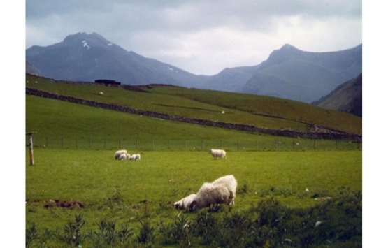 Bu adalar evden daha ucuz fiyata satılıyor!