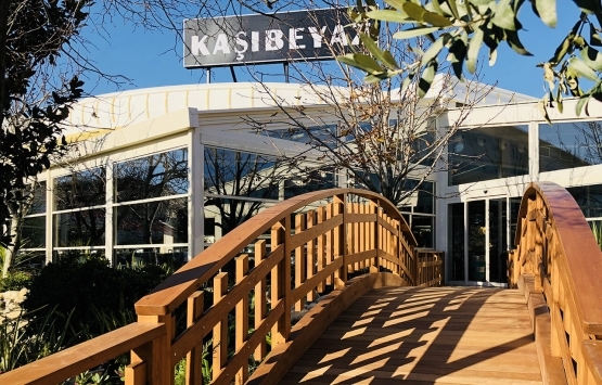 Kaşıbeyaz şube sayısı 2020