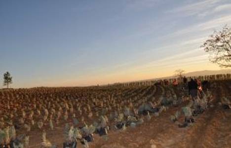 Ege’nin en iddialı piknik mesire alanı Uşak’ta yapılıyor!