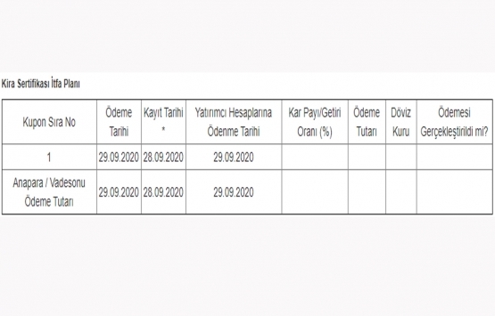 Halk Varlık Kiralama dan 100 milyon TL lik kira sertifikası satışı!