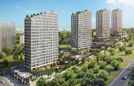 yeşil mavi maltepe projesi