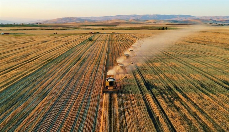On binlere müjde! Devlet destek verecek: Bu şartları taşıyan herkes para alacak…