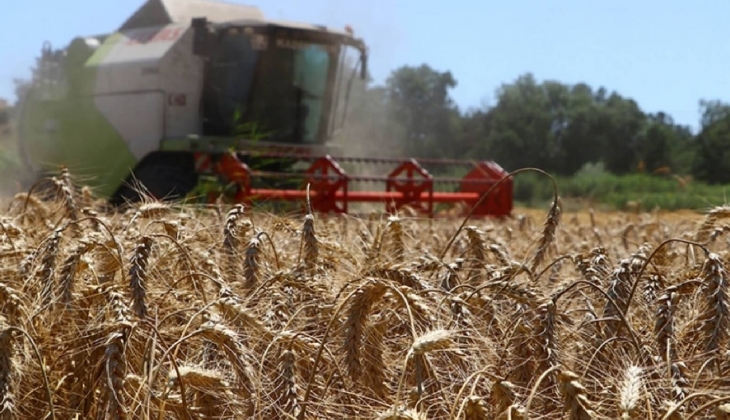 Çiftçiler dikkat! Tarımsal destekleme ödemeleri güncellendi...