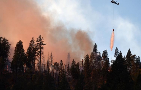California'daki yangın ünlü isimleri evsiz bıraktı!
