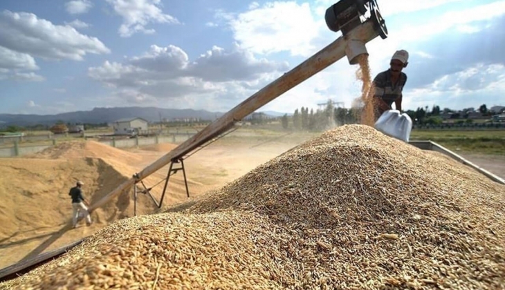 Bakan Yumaklı açıkladı: TMO, 10.1 milyon ton hububat alacak! Çiftçiler şimdi bakın!