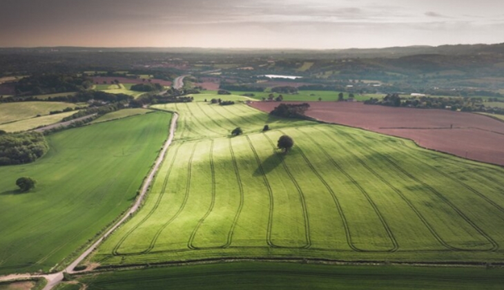 Karadeniz’de arazi sahibi olmak isteyenler dikkat! 26 bin TL’den başlayan fiyatlarla tapu fırsatı...