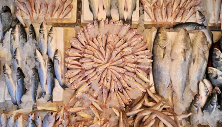 Balık fiyatları katlandı: İstanbul Hali nde tekir 100, levrek 250, istavrit 80 TL! Palamudun kilosu 44-56 TL arasında!