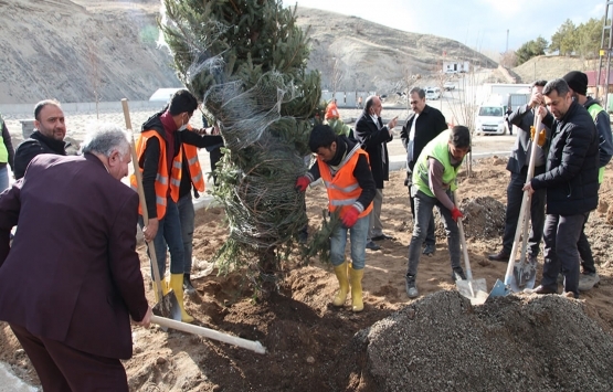 Bitlis Ahlat Millet Bahçesi'nde çalışmalar tam gaz!