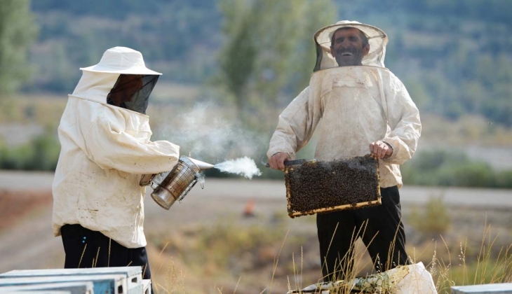 Deprem bölgesindeki arıcılara verilecek destek belli oldu! İşte detaylar…