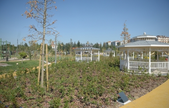 Eskişehir Millet Bahçesi nde sona geliniyor!