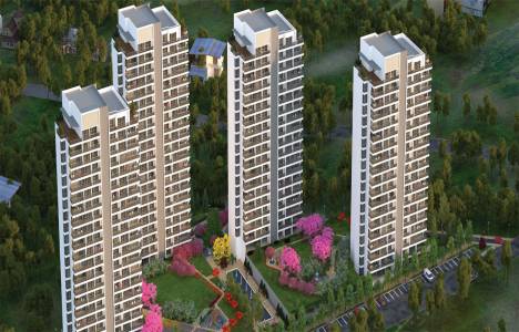 Nata İncek fiyat listesi!