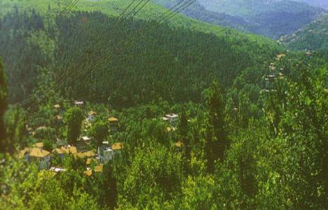 Beykoz yeniden ağaçlandırılacak!