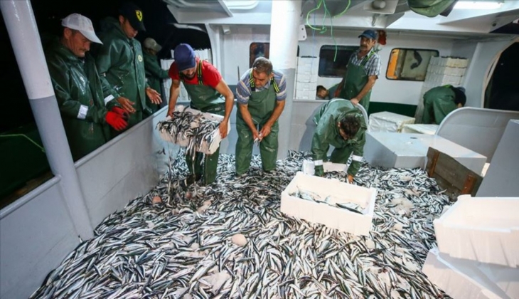 Son dakika: Marmara Denizi ve boğazlarda yarından itibaren hamsi avcılığı yasaklanıyor!
