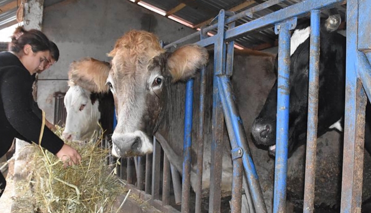 Çiftçilere müjdeli haber! Destek ödemelerinden sonra bir destek daha geldi! O ilde yaşayanlar dikkat! 