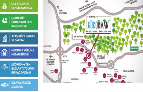 Sinpaş Gökorman nerede?