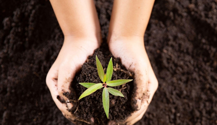 Gübre fiyatlarındaki aylık artış yüzde 18,7 oldu! Çiftçiler dikkat! Hangi gübre kaç lira?