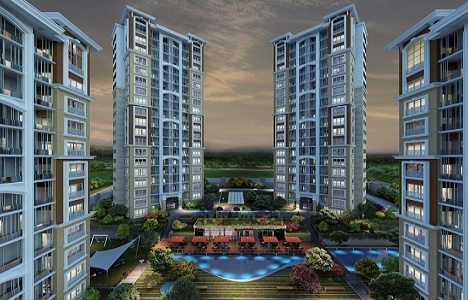 Sofa Loca projesinin görselleri! 22 karede!