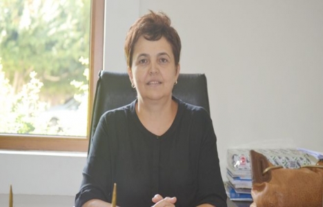 Kentsel dönüşüm nasıl uygulanmalı