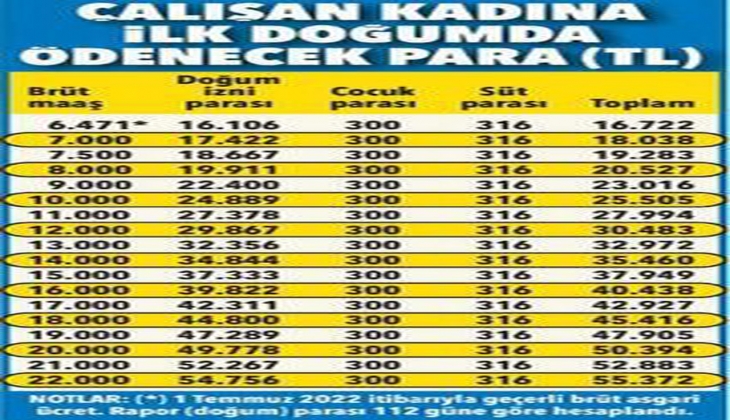 Hem çalışan hem çocuk bakan annelere müjde. 55 bin 372 lira verilecek