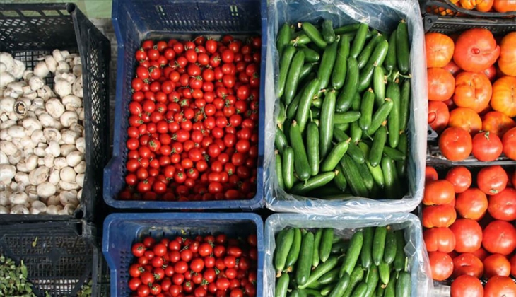 Rusya ya yaş meyve ve sebze ihracatı 2023 ün ilk çeyreğinde yüzde 60 arttı!