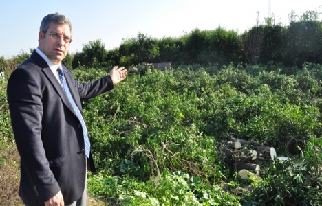 Semih Karademir: Tarım arazileri mezbaha olmasın!