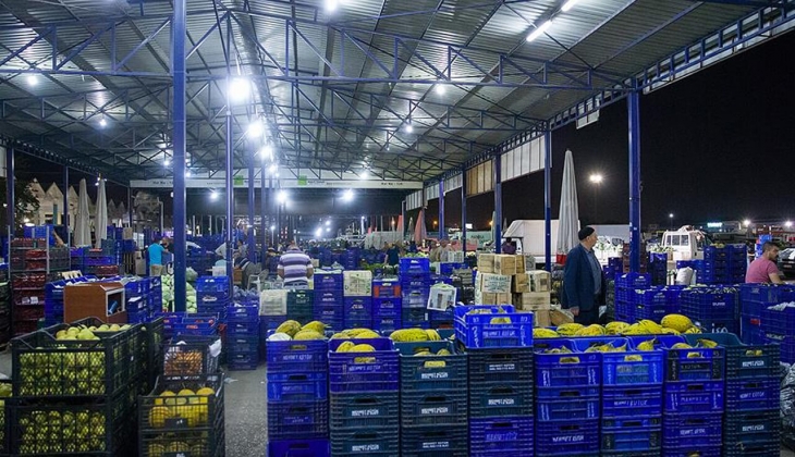 İstanbul Büyükşehir Hali 28 Mart 2022 fiyatları belli oldu! İşte 28 Mart 2022 hal fiyat listesi!