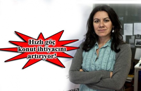 TÜSİAD Başekonomisti İmamoğlu: İnşaat sektörü büyüyecek