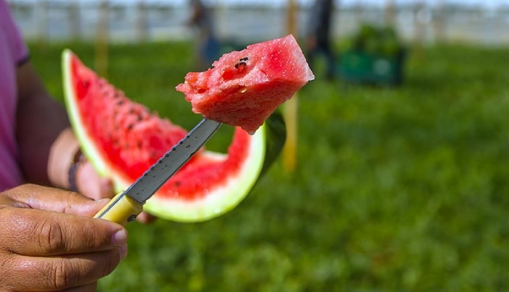 Karpuzun kilosu 35, dilimi 51 TL den satılıyor! Fiyatlar yüksek gelince dilim karpuza talep arttı!