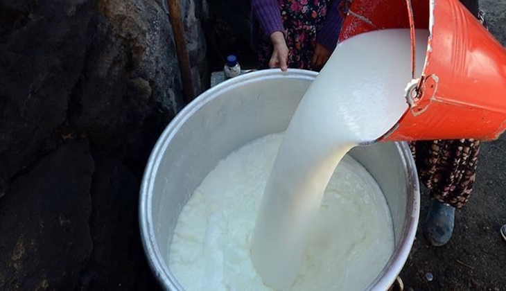 Çiğ süte yüzde 21 zam! Etiketlere yarın yansıtılacak! İşte A101, ŞOK, MİGROS, CarrefourSa 31 Mart 2022 fiyat listesi!