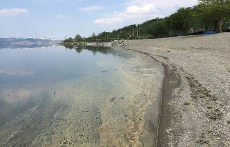 Sapanca Gölü’nün kıyısı sarı polen tabakasıyla kaplandı!