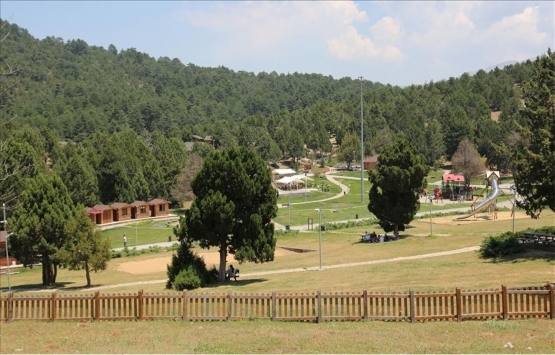 Denizli'de 29 milyon TL'ye satılık gayrimenkul!