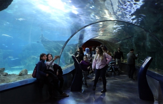 İBB, Florya Akvaryum’u icraya verdi!