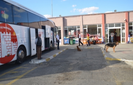 Çorlu Otogarı'nın çıkışında başlatılan yol çalışmaları ne durumda?