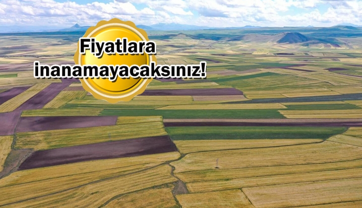 Aydın Büyükşehir Belediyesi'nden arsa fırsatı! 8 adet uygun fiyatlı arsa satışa çıktı!
